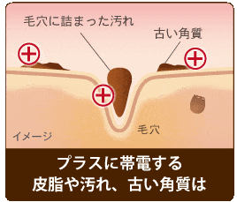 プラスに帯電する皮脂や汚れ、古い角質は