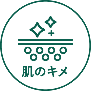 肌のキメ
