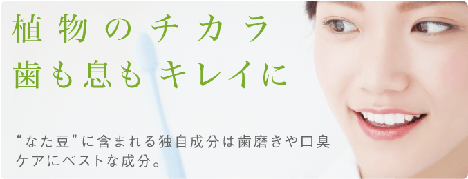 植物のチカラ