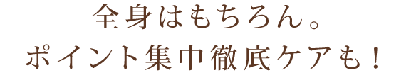 ポイント集中ケア