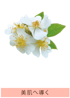 ノイバラ果実エキス