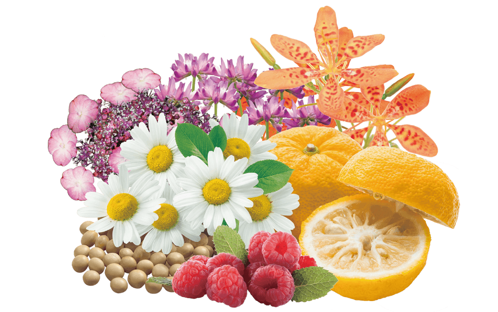 8種類の植物エキス