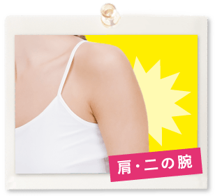 肩・二の腕