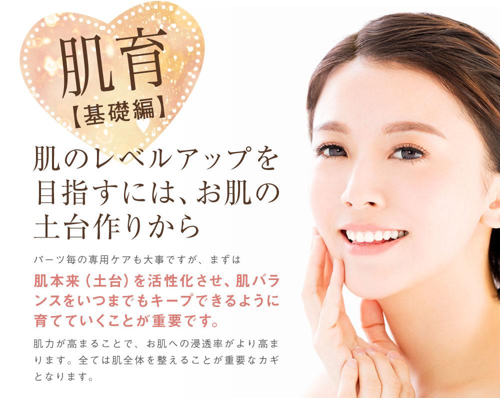 エイジングケア幹細胞