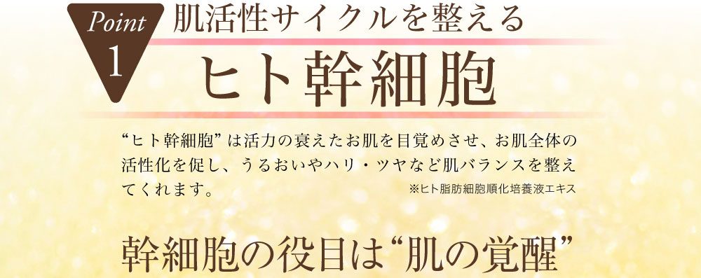 幹細胞とは