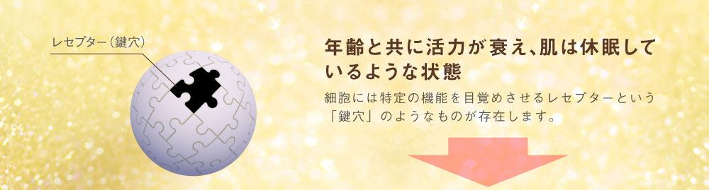 ヒト幹細胞培養液とは