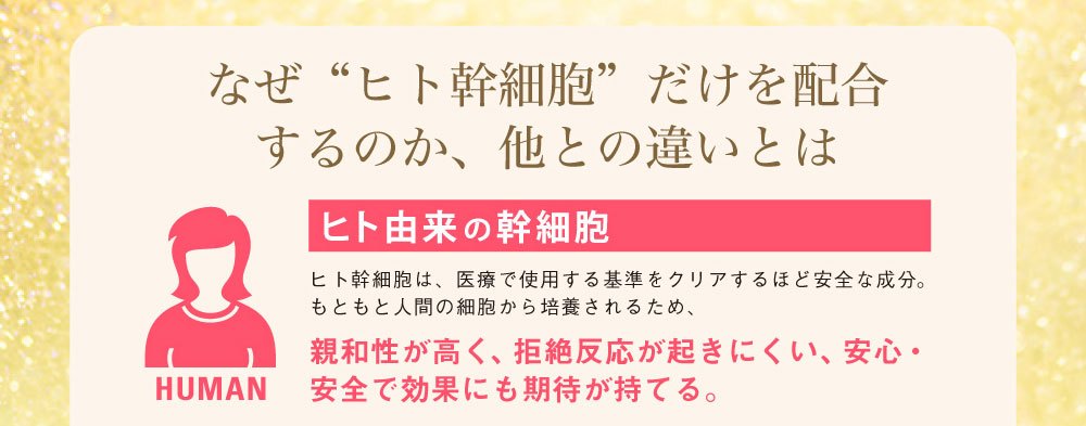 ヒト幹細胞とは