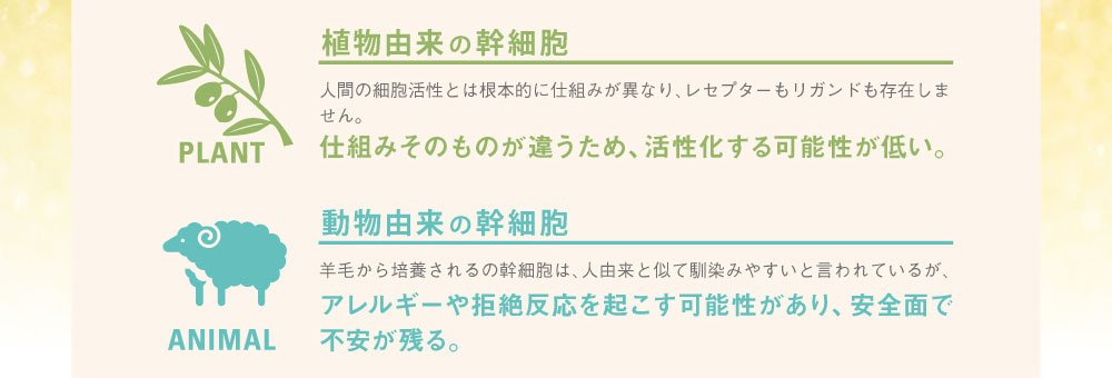 植物幹細胞とは