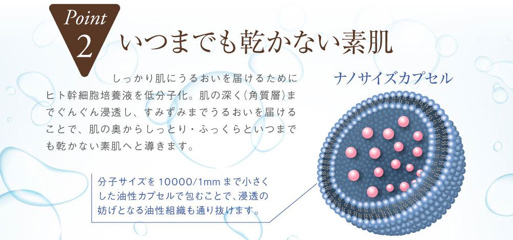 幹細胞ナノリポソーム