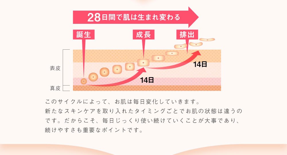 幹細胞美容液肌再生