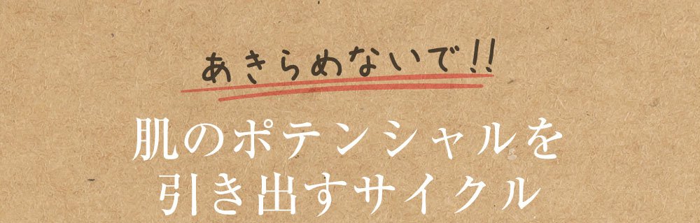 幹細胞美容液肌再生サイクル