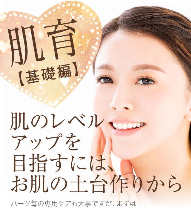 エイジングケア幹細胞