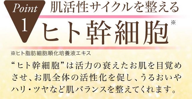 幹細胞培養液とは