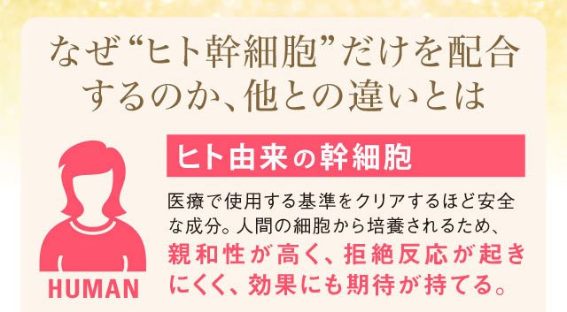 ヒト幹細胞とは