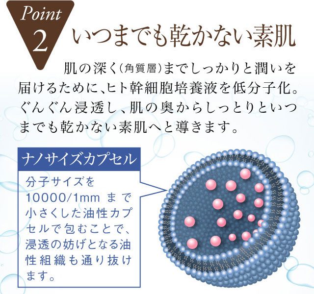 幹細胞ナノリポソーム