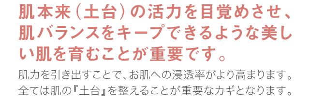 肌本来（土台）の活力を目覚めさせ、肌バランスをキープできるような肌を育てていくことが重要です。