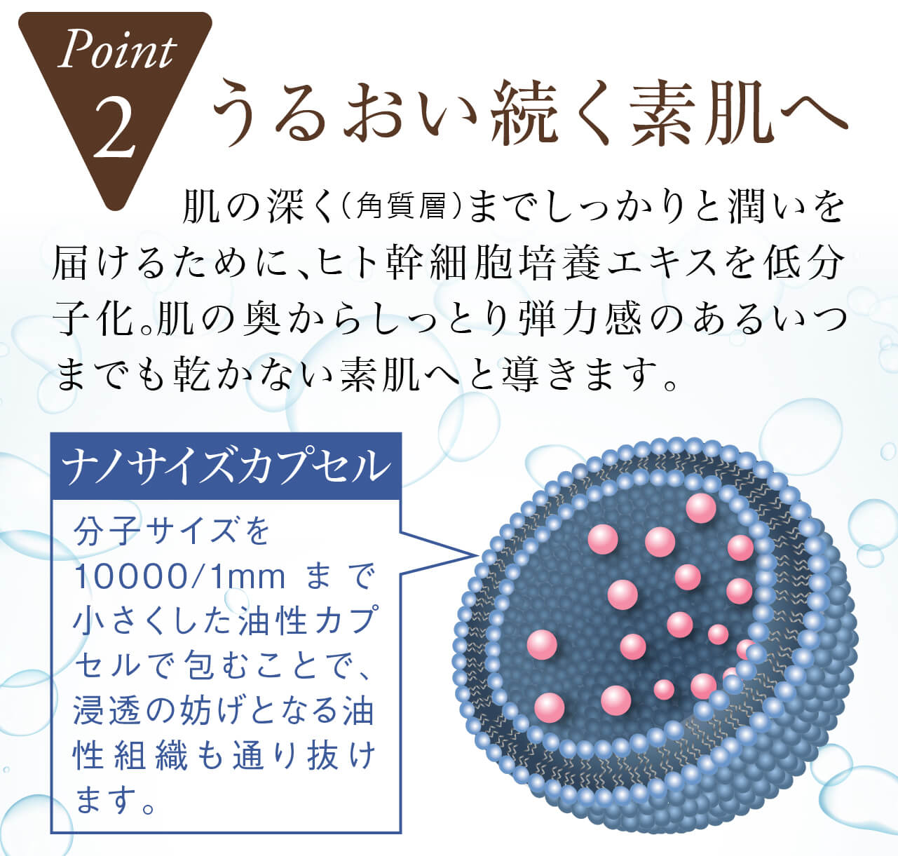 セルラッシュプレミアム cell lush premiumの特徴2，潤い続く素肌へ。肌の深くまでしっかりと潤いを届けるために、ヒト幹細胞培養エキスを低分子化。ぐんぐん浸透し、肌の奥からしっとりといつまでも乾かない素肌へと導きます。ヒト幹細胞培養エキスナノリポソーム