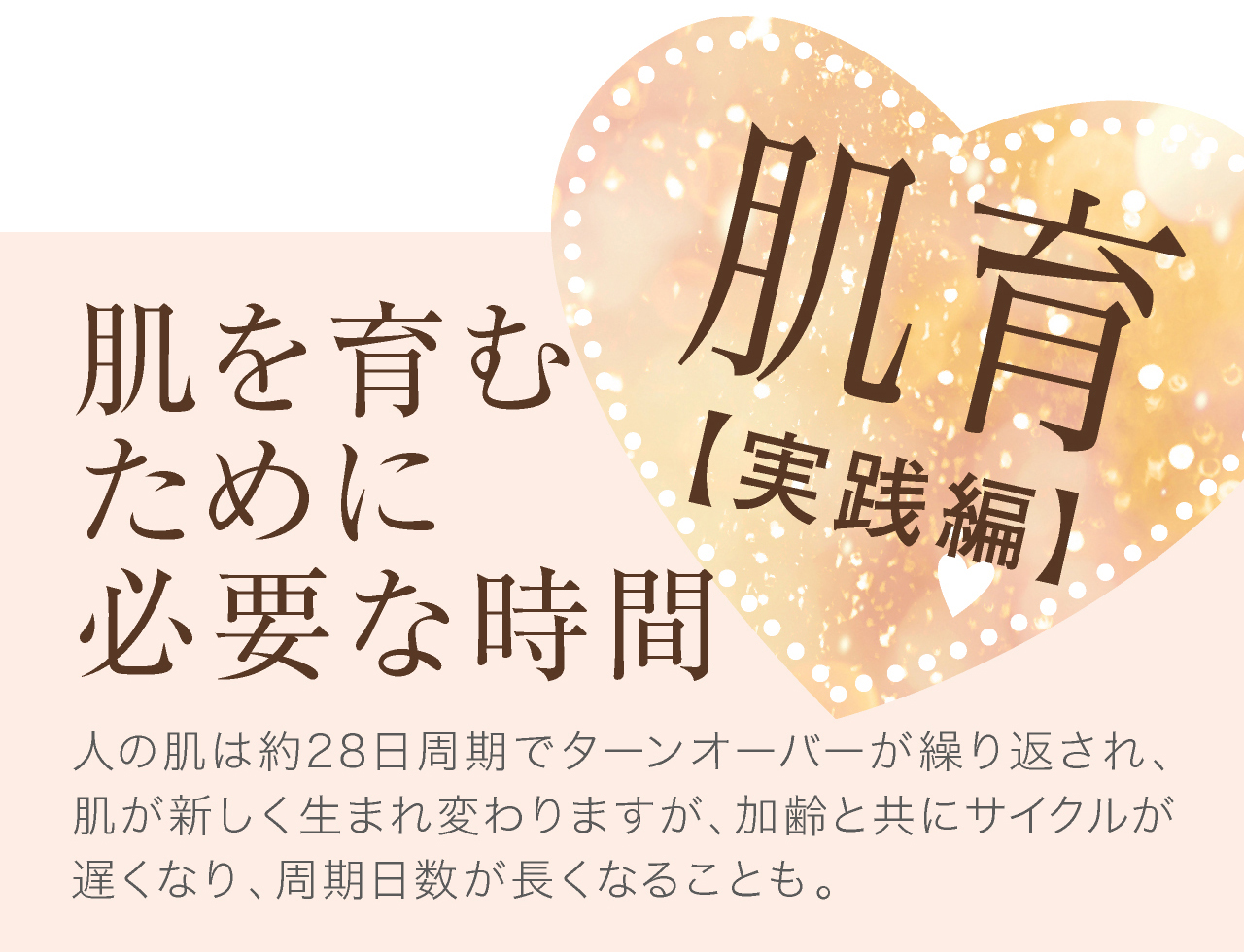 幹細胞美容液実践。肌を育むために必要な時間（ターンオーバー）