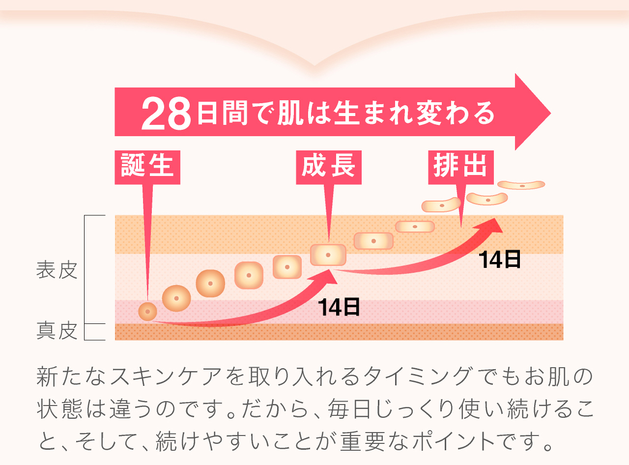 幹細胞セラム肌再生。新たなスキンケアを取り入れるタイミングでもお肌の状態は違うのです。だから、毎日じっくり使い続けること、そして、続けやすいことが重要なポイントです。