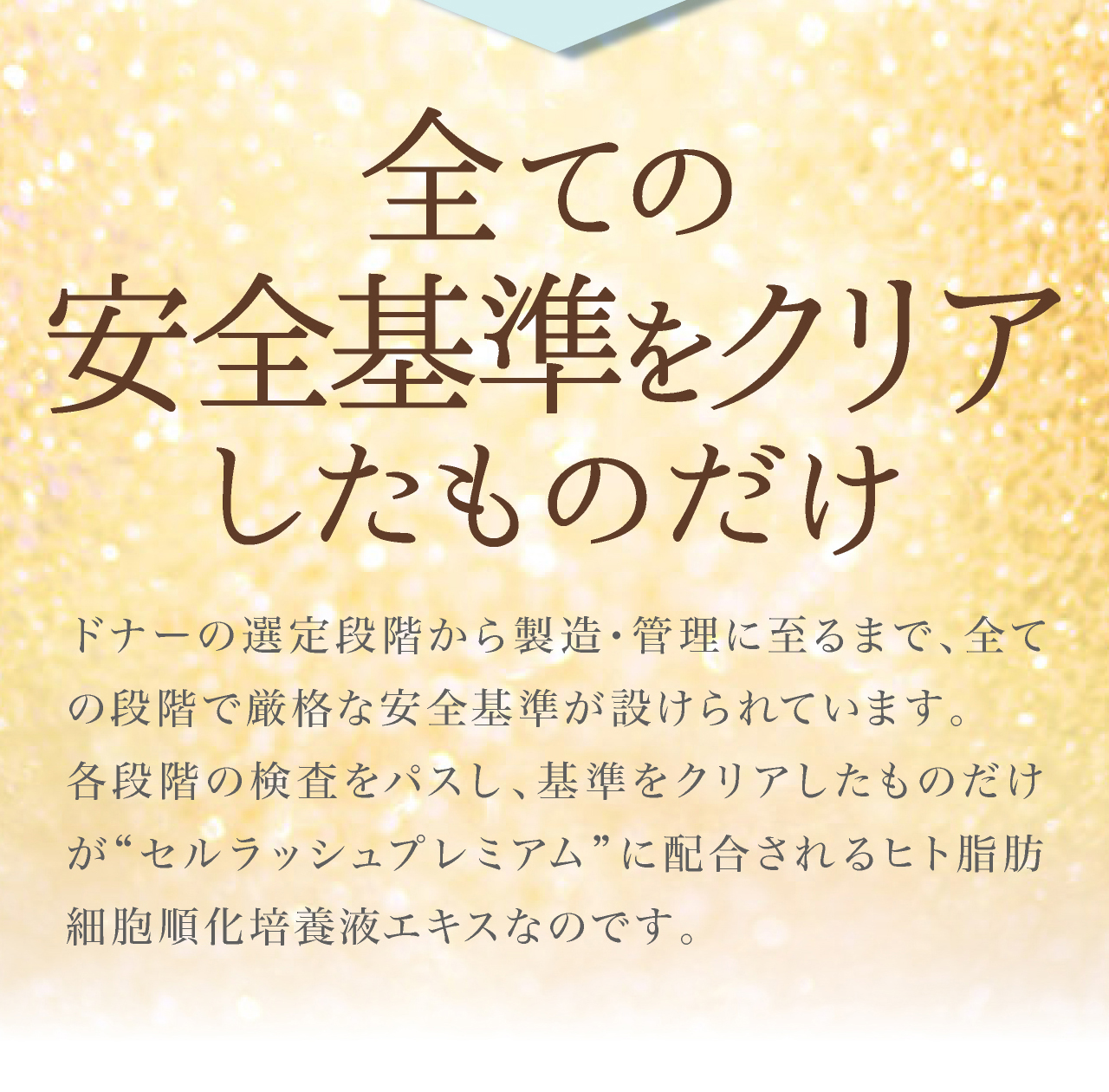 全ての安全基準をクリアしたものだけ。ドナーの選定段階から製造・管理に至るまで、全ての段階で厳格な安全基準が設けられています。各段階の検査をパスし、基準をクリアしたものだけがセルラッシュプレミアムに配合されるヒト脂肪細胞順化培養液エキスなのです。