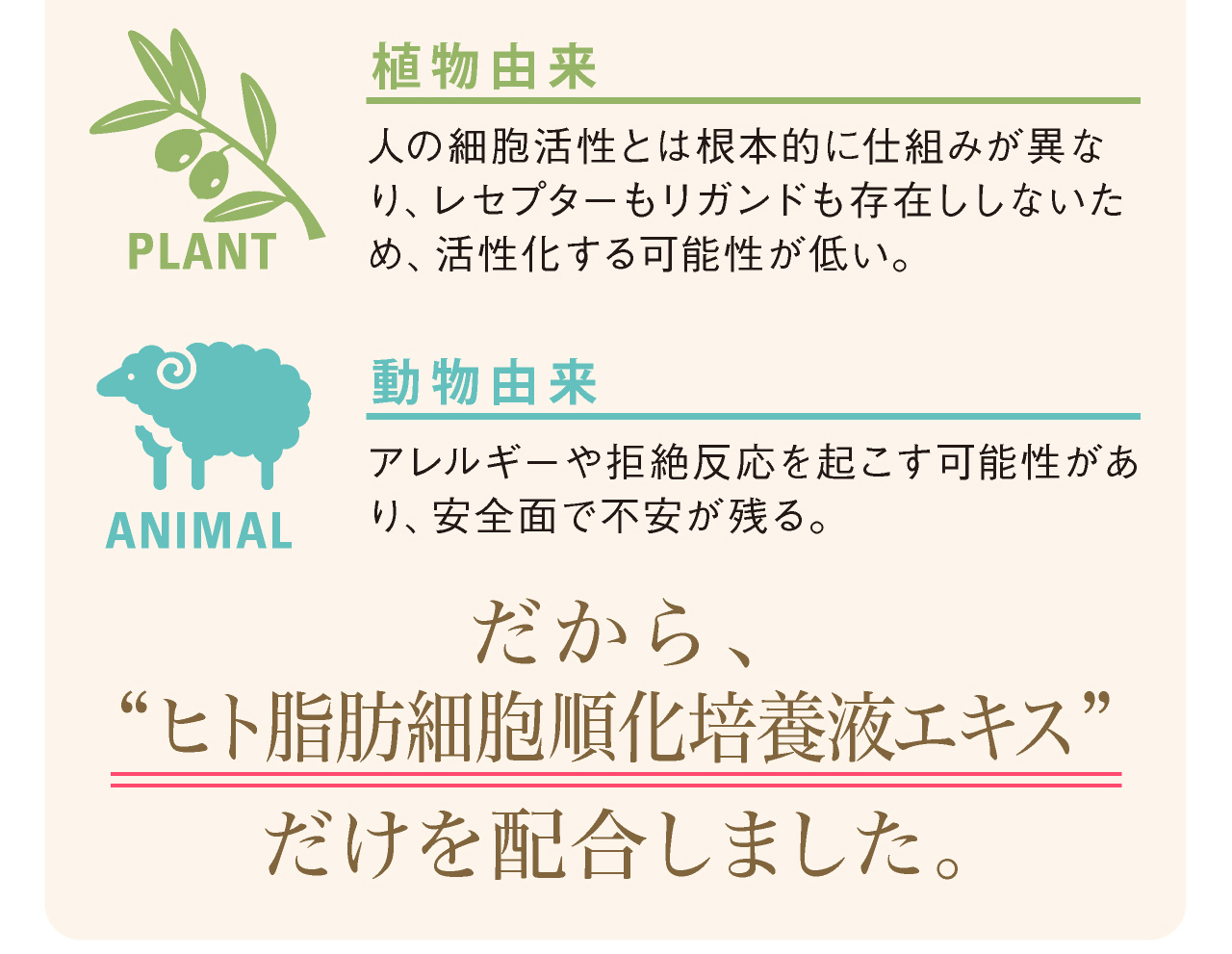 植物幹細胞とは。動物幹細胞とは。ヒト脂肪細胞順化培養液エキス（ヒト幹細胞）だけを配合しました。