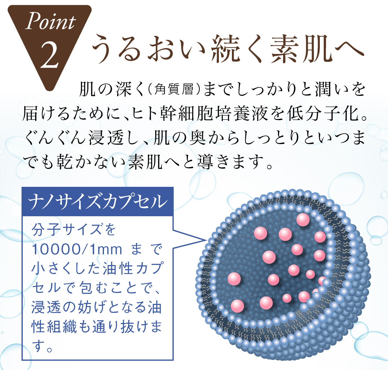 セルラッシュプレミアム cell lush premiumの特徴2，潤い続く素肌へ。肌の深くまでしっかりと潤いを届けるために、ヒト幹細胞を低分子化。ぐんぐん浸透し、肌の奥からしっとりといつまでも乾かない素肌へと導きます。ヒト幹細胞ナノリポソーム