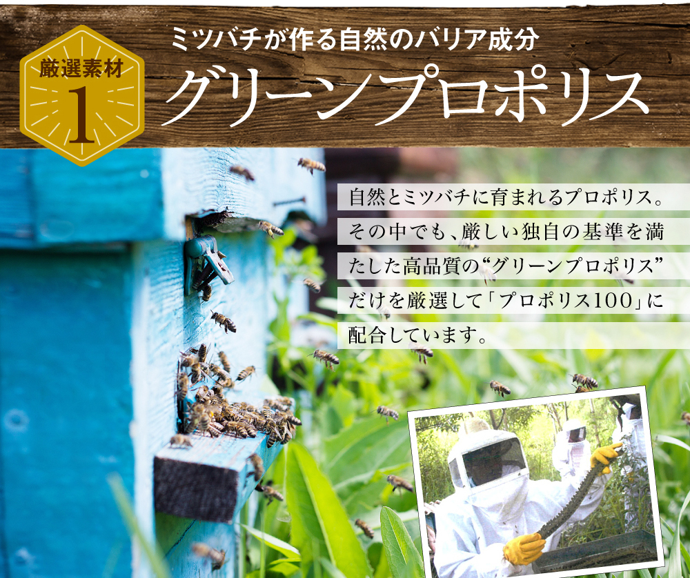 ミツバチが作る自然のバリア成分グリーンプロポリス。自然とミツバチに育まれるプロポリス。その中でも、厳しい独自の基準を満たした高品質の“グリーンプロポリス”だけを厳選して「プロポリス100」に配合しています。