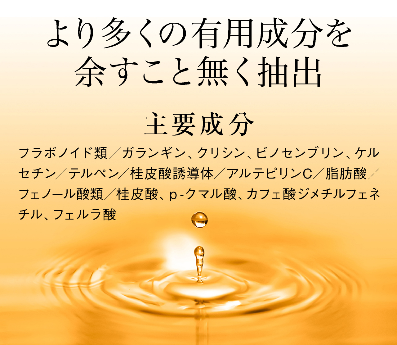 より多くの有用成分を余すこと無く抽出。フラボノイド類、ガランギン、クリシン、ビノセンブリン、ケルセチン、テルペン、桂皮酸誘導体、アルテピリンC、脂肪酸、フェノール酸類、桂皮酸、ｐ-クマル酸、カフェ酸ジメチルフェネチル、フェルラ酸
