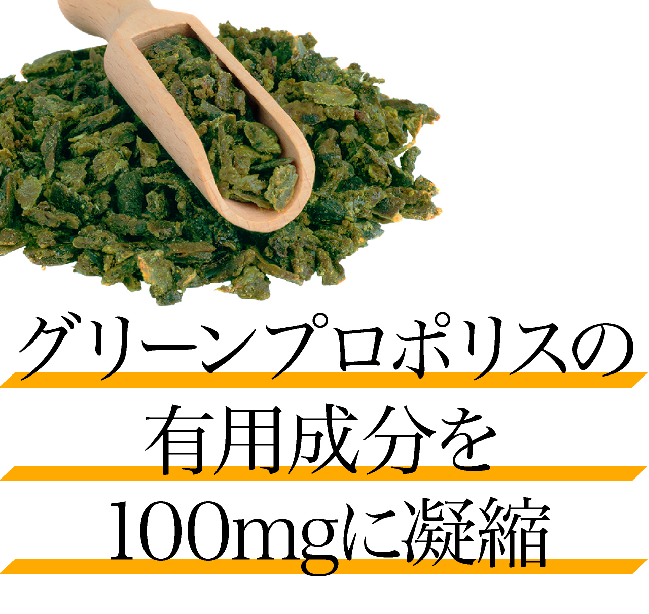 プロポリスは量より質が重要です。グリーンプロポリスの有用成分を100mgに凝縮