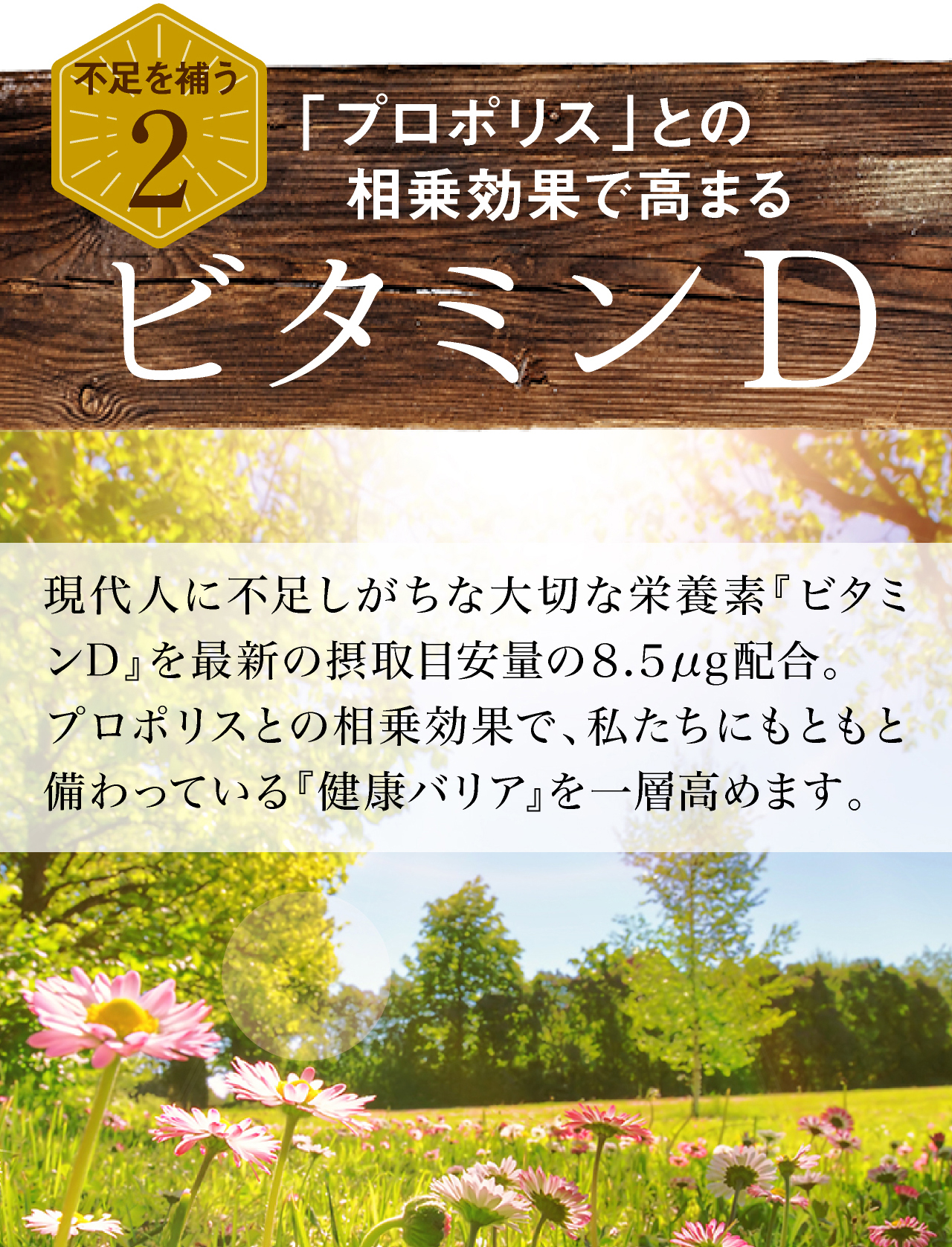 「プロポリス」との相乗効果で高まるビタミンD。現代人に不足しがちな大切な栄養素『ビタミンD』を最新の摂取目安量の８.５μg配合。プロポリスとの相乗効果で、私たちにもともと備わっている健康バリアを一層高めます。
