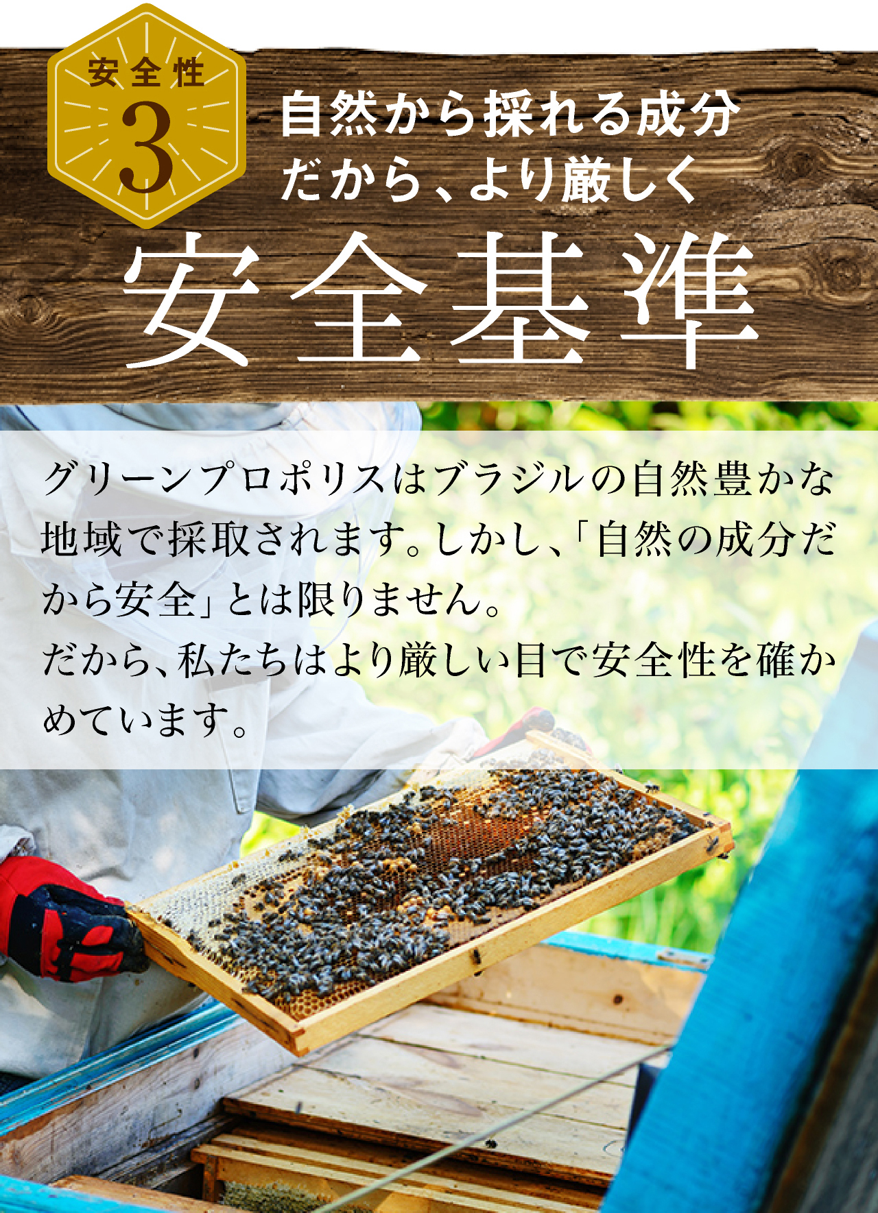 自然から採れる成分だから、より厳しい安全基準。グリーンプロポリスはブラジルの自然豊かな地域で採取されます。しかし、自然の成分だから安全とは限りません。だから、私たちはより厳しい目で安全性を確かめています。
