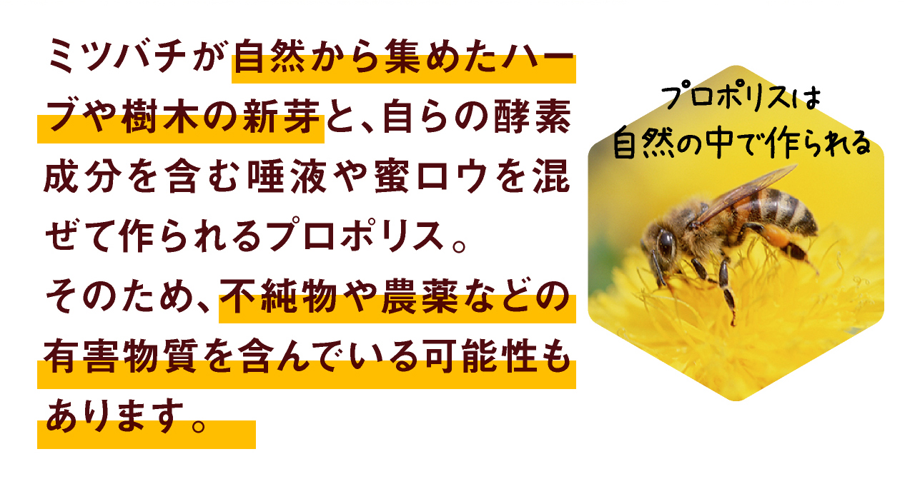 ミツバチが自然から集めたハーブや樹木の新芽と、自らの酵素成分を含む唾液や蜜ロウを混ぜて作られるプロポリス。そのため、不純物や農薬などの有害物質を含んでいる可能性もあります。
