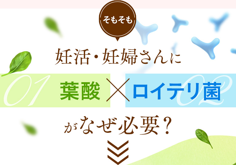 葉酸×ロイテリ菌