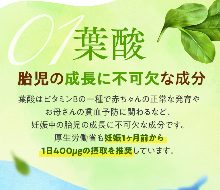 葉酸 胎児の成長に不可欠な成分