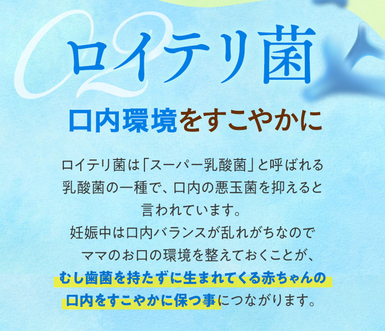 ロイテリ菌口内環境をすこやかに