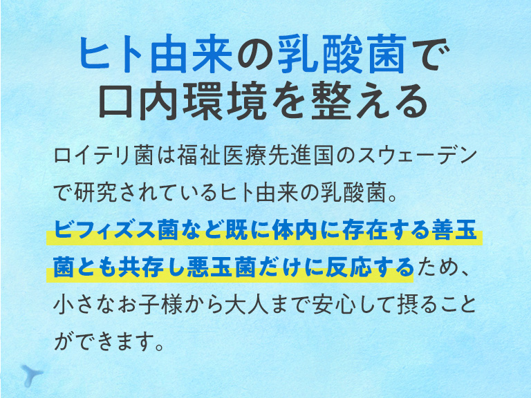 ヒト由来の乳酸菌で口内環境にアプローチ