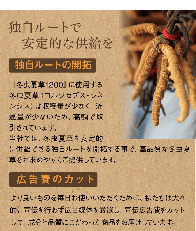 ウイスキー　冬虫夏草 冬虫夏草を見つける楽しみ | きのこらぼ